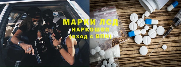 прущие грибы Вязники